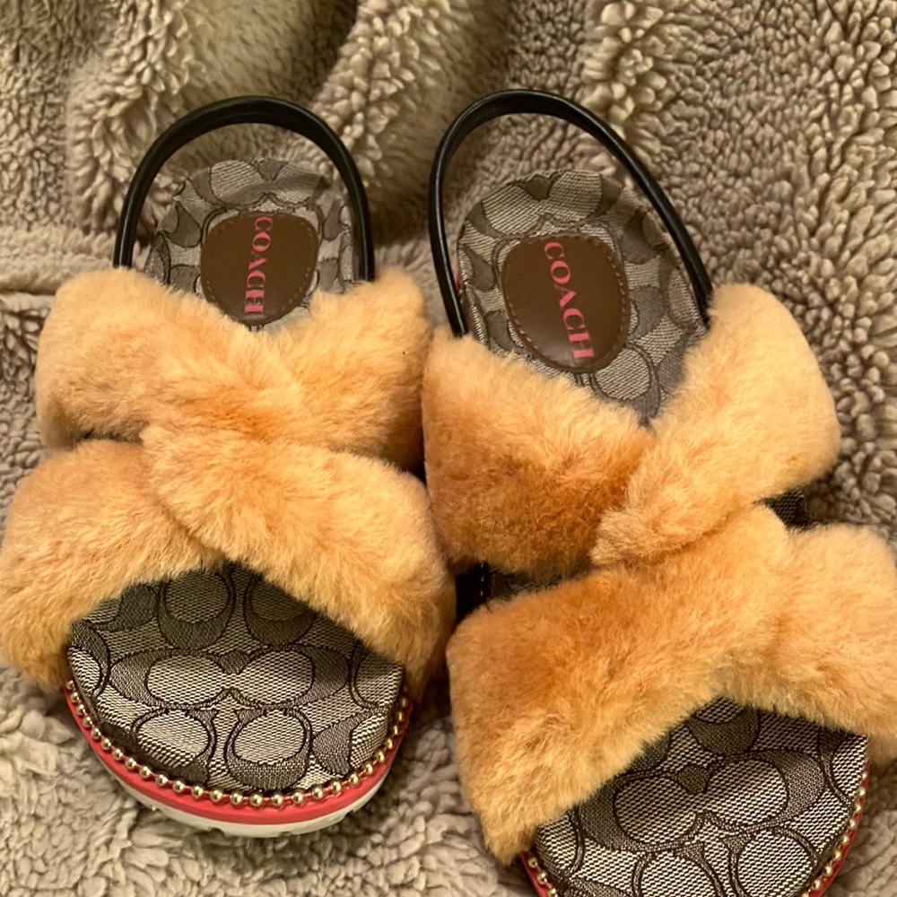 Coach Tally Shearlg Sandal